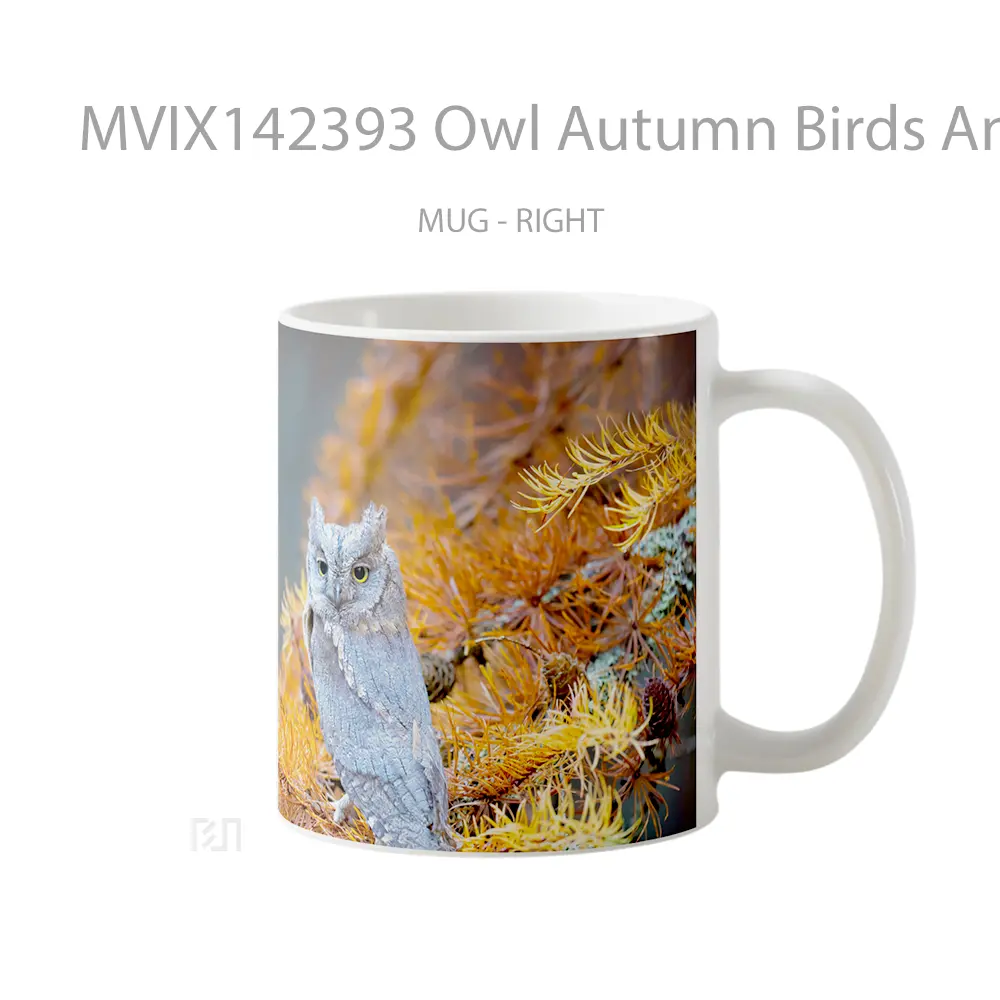 Mug Owl Autumn Birds Animals Gelas Hewan Lucu - All-side / Desain