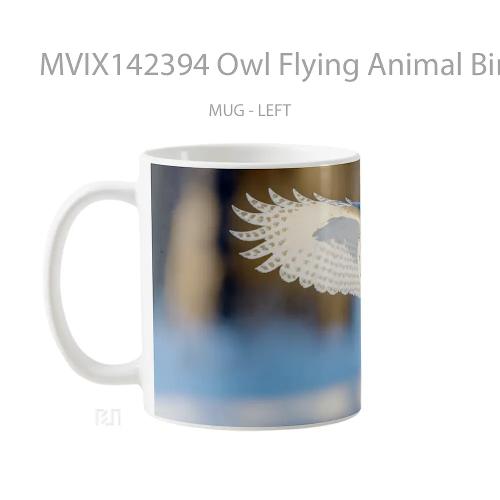 Mug Owl Flying Animal Bird Gelas Hewan Lucu - All-side / Desain