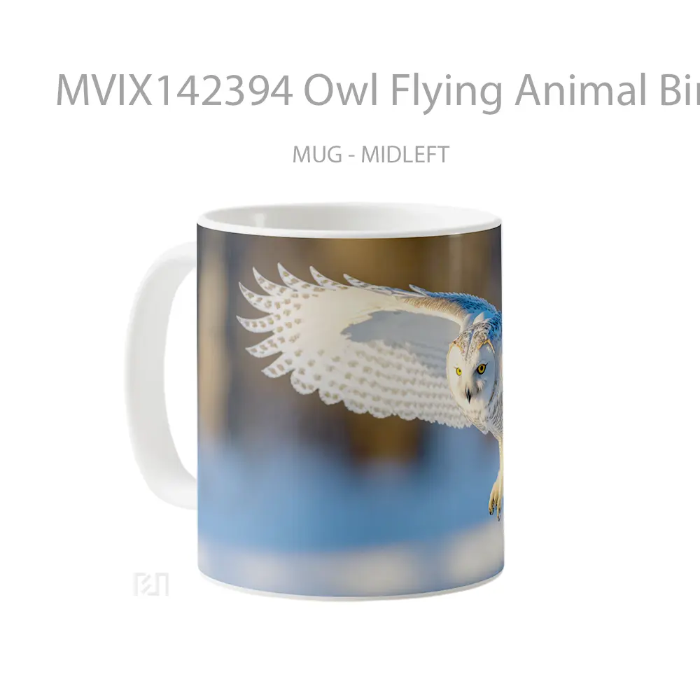 Mug Owl Flying Animal Bird Gelas Hewan Lucu - All-side / Desain