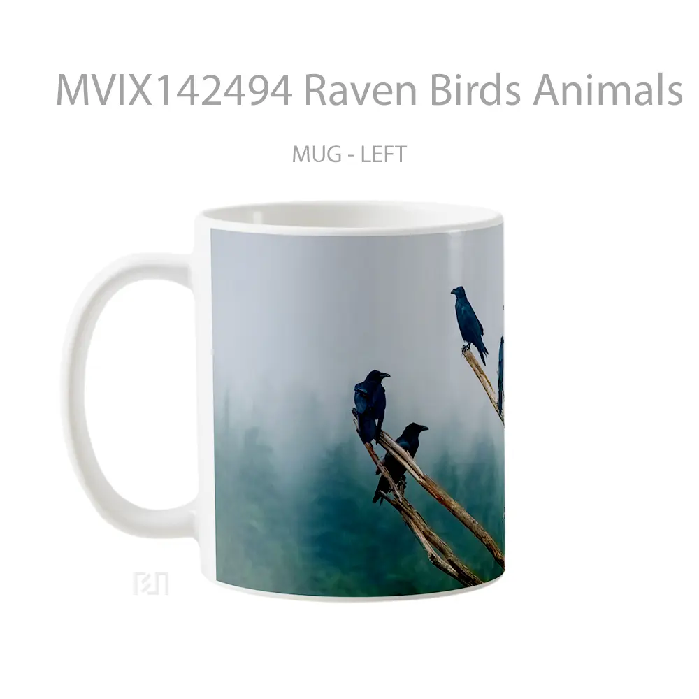 Mug Raven Birds Animals Gelas Hewan Lucu - All-side / Desain
