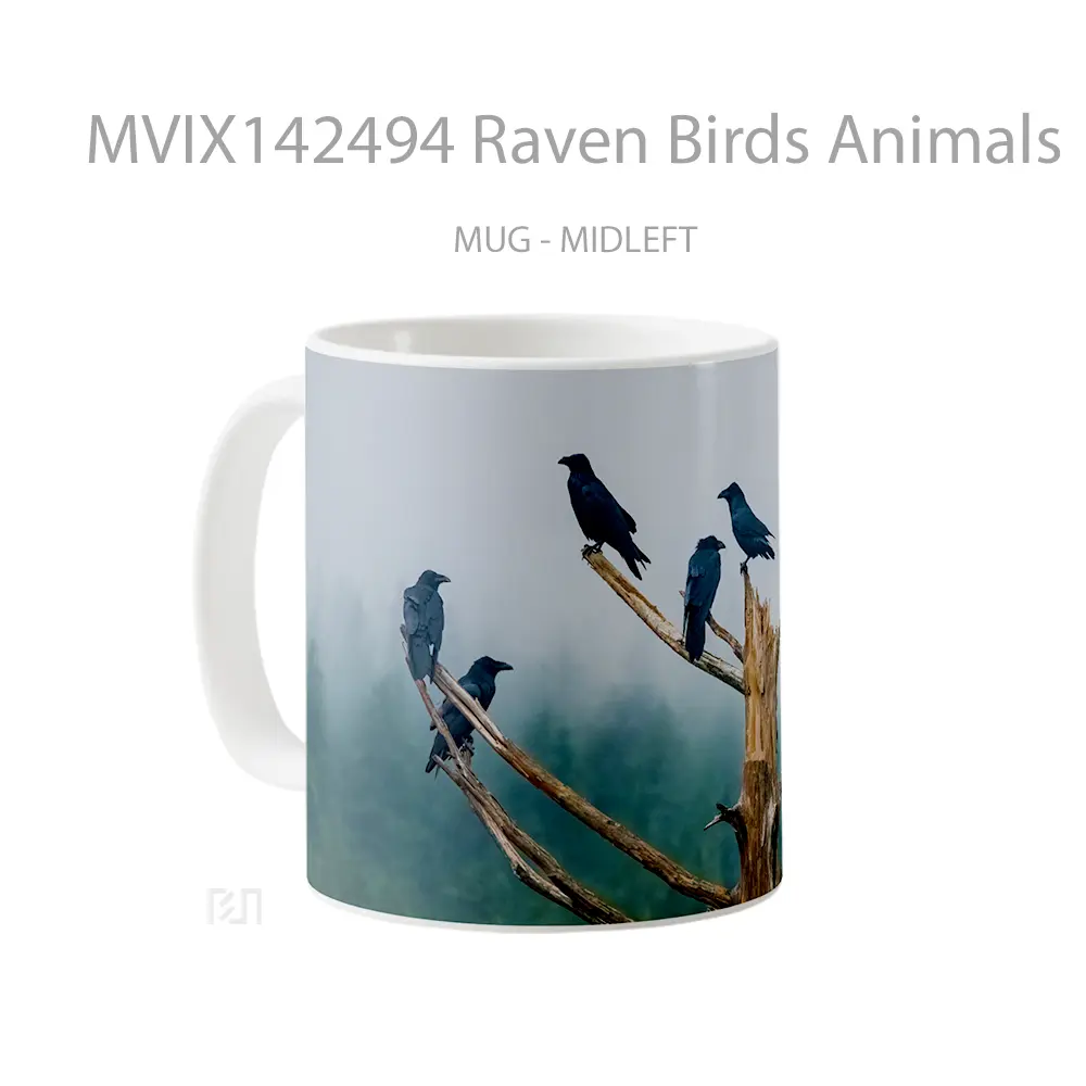 Mug Raven Birds Animals Gelas Hewan Lucu - All-side / Desain