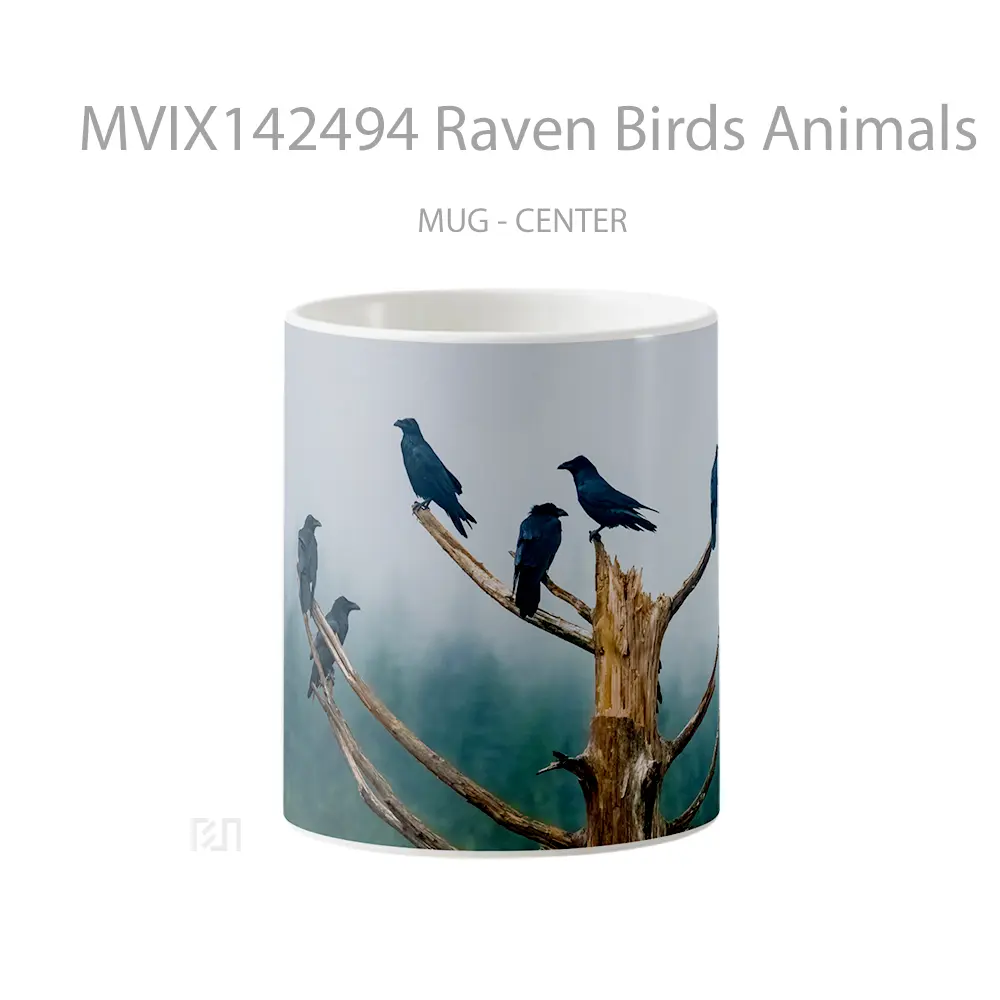 Mug Raven Birds Animals Gelas Hewan Lucu