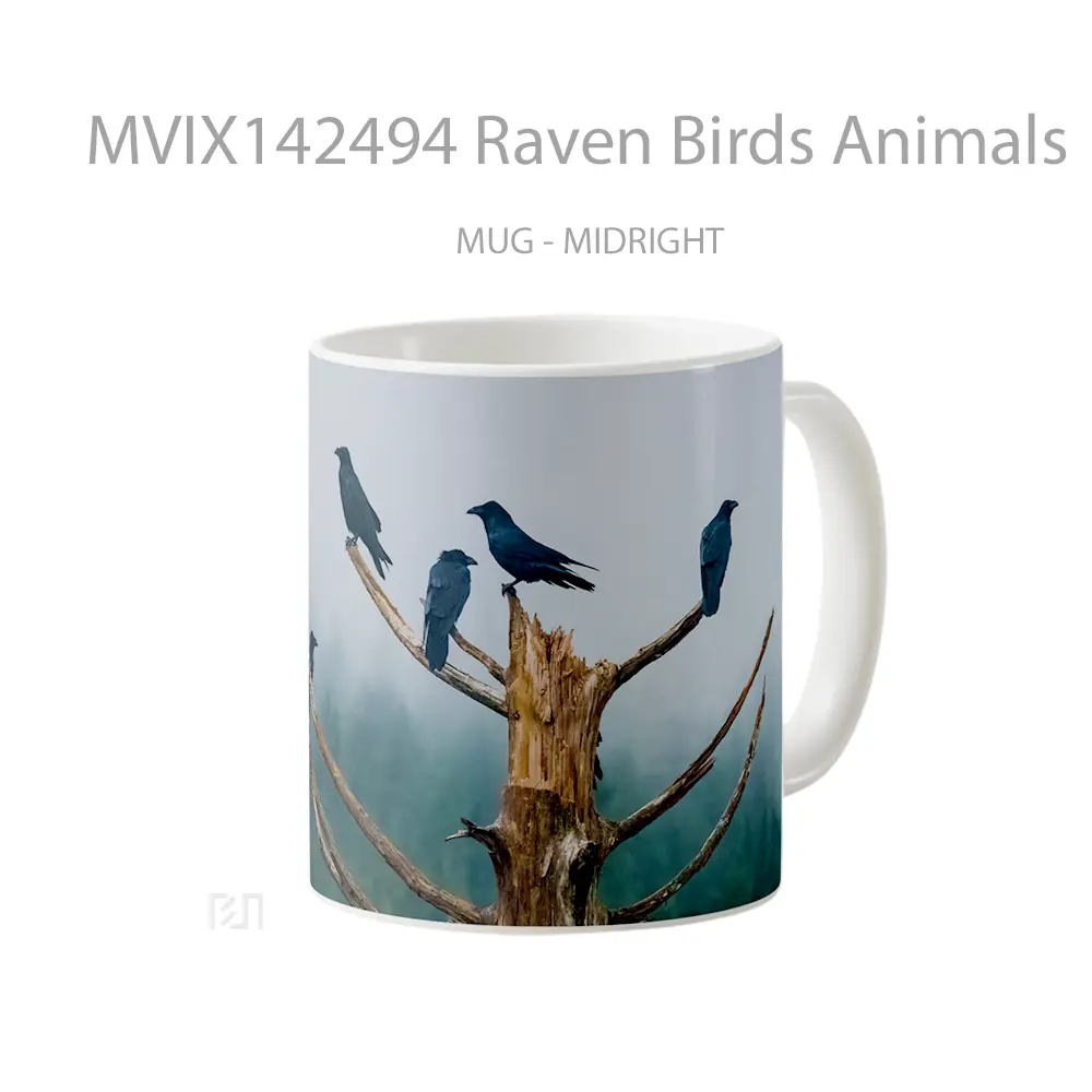 Mug Raven Birds Animals Gelas Hewan Lucu - All-side / Desain