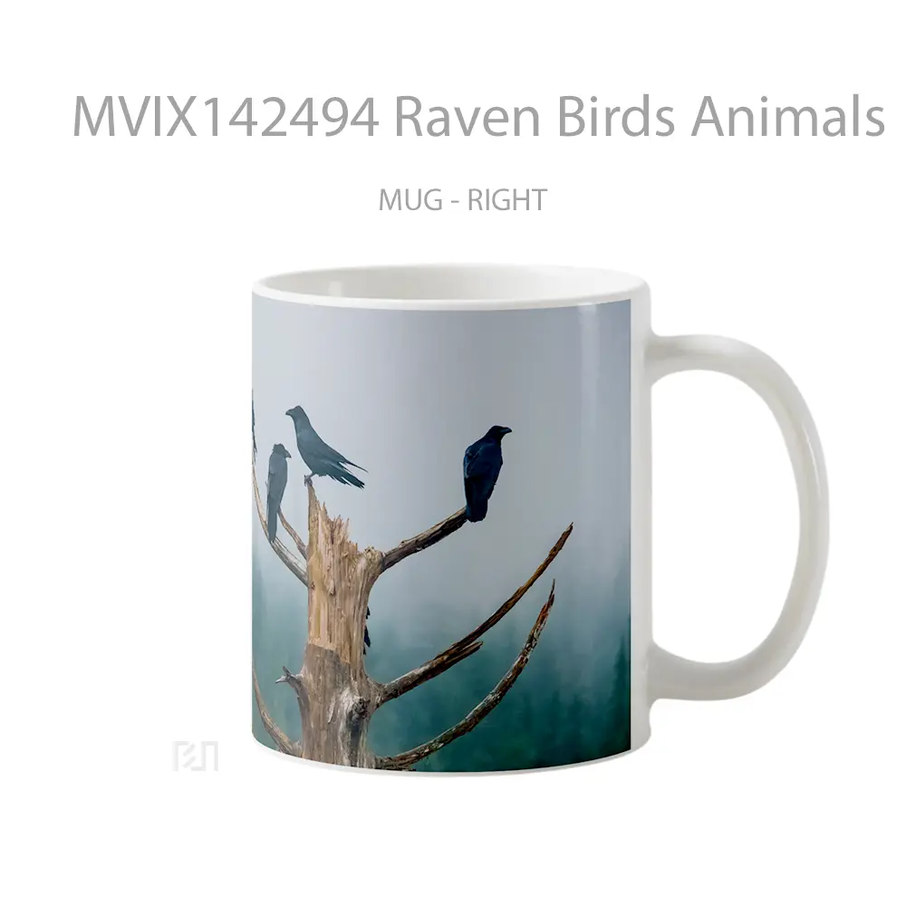 Mug Raven Birds Animals Gelas Hewan Lucu - All-side / Desain