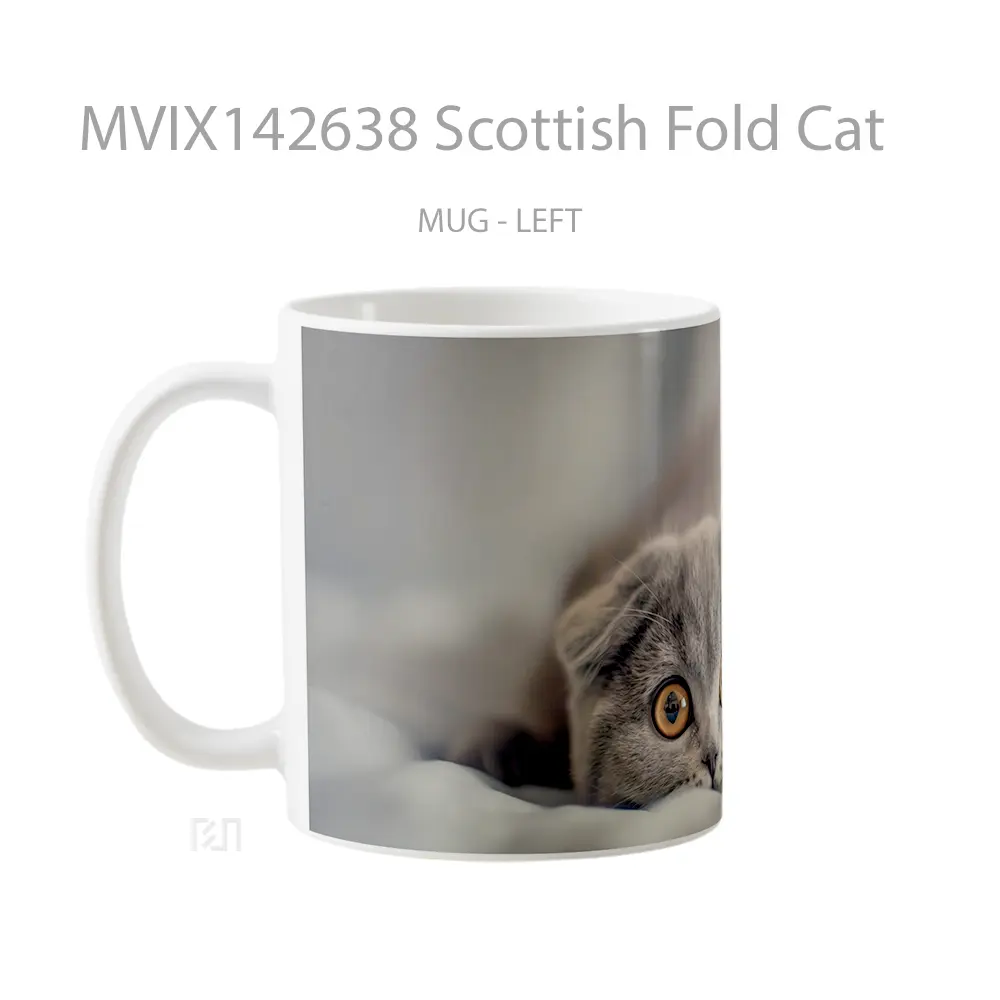 Mug Scottish Fold Cat Gelas Hewan Lucu - All-side / Desain