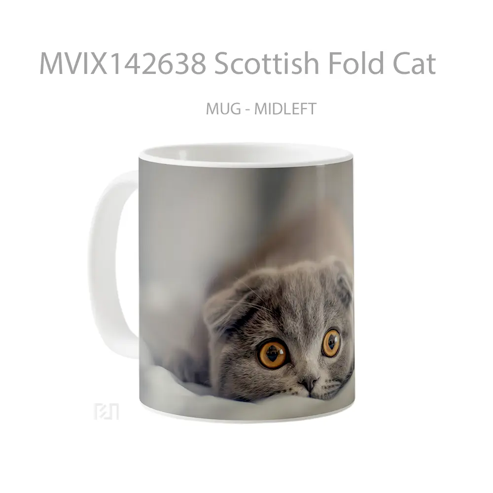 Mug Scottish Fold Cat Gelas Hewan Lucu - All-side / Desain