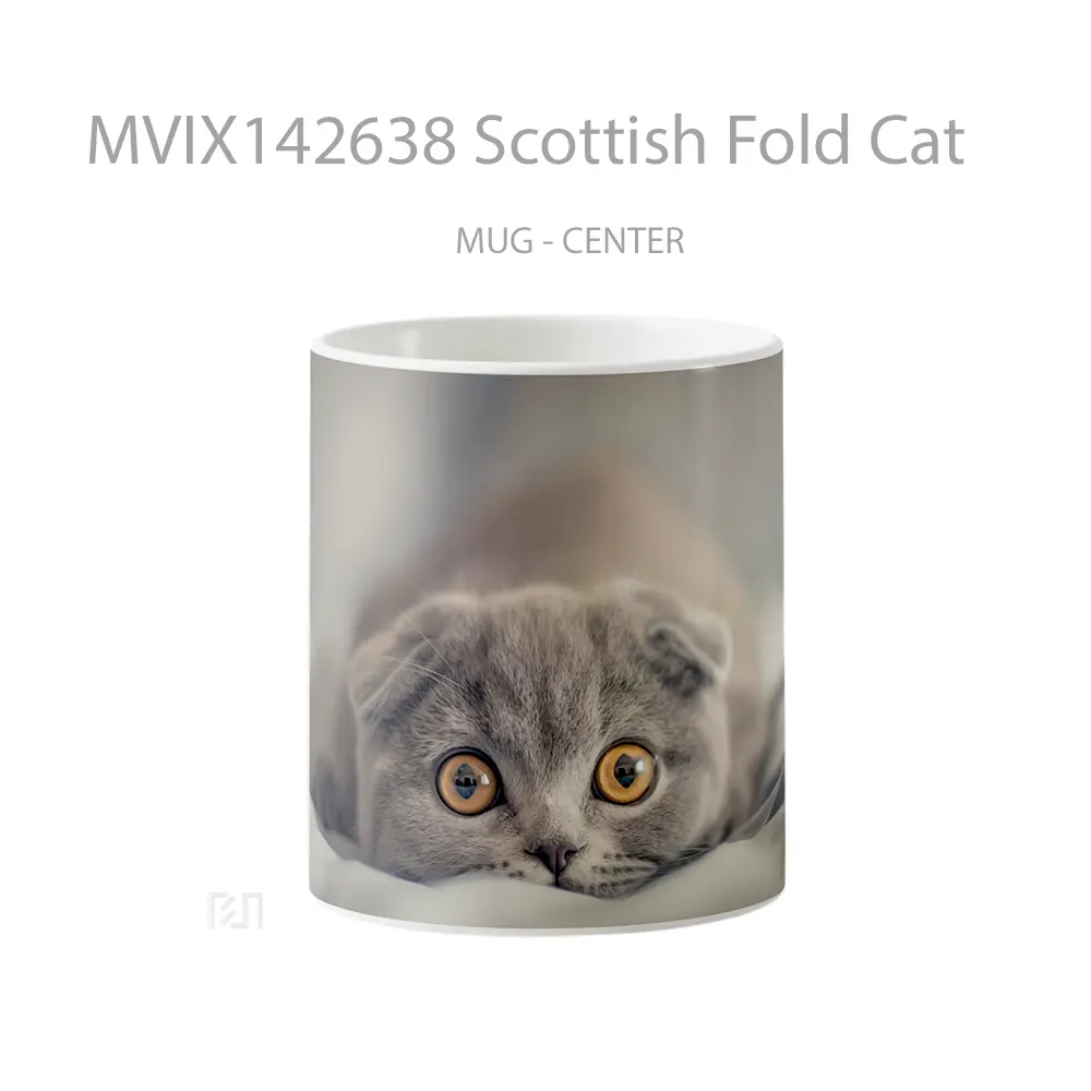 Mug Scottish Fold Cat Gelas Hewan Lucu