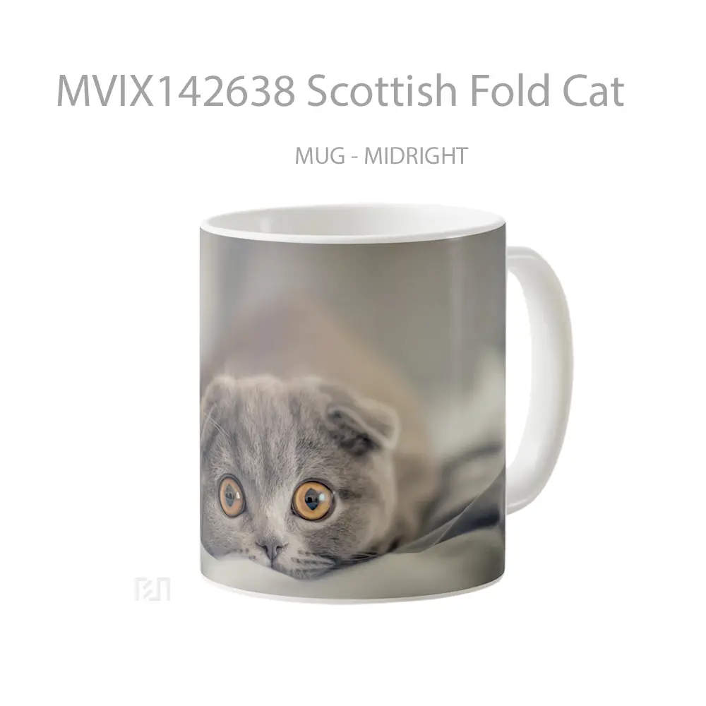 Mug Scottish Fold Cat Gelas Hewan Lucu - All-side / Desain