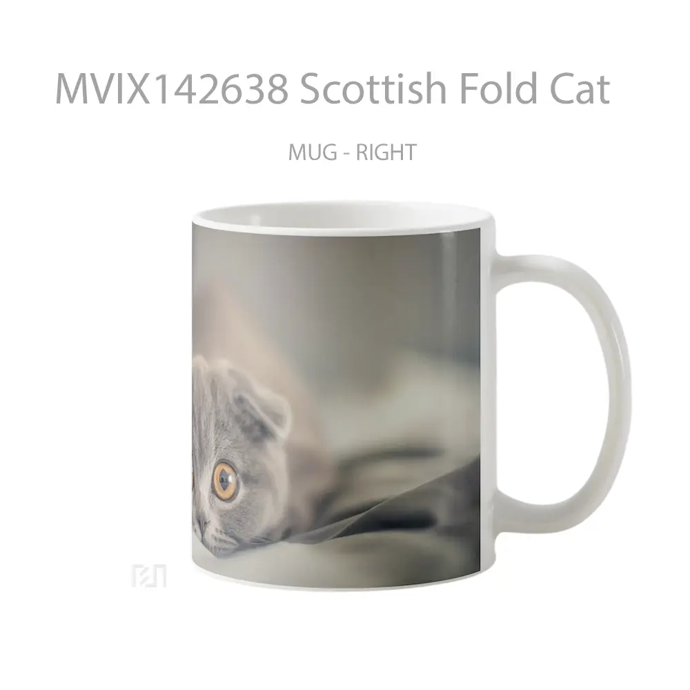 Mug Scottish Fold Cat Gelas Hewan Lucu - All-side / Desain