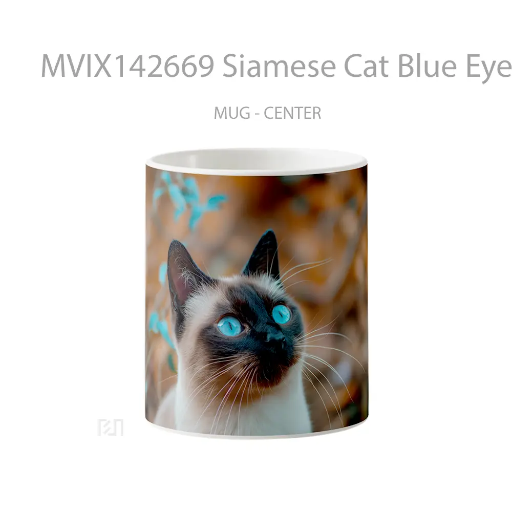 Mug Siamese Cat Blue Eyes Animal Gelas Hewan Lucu