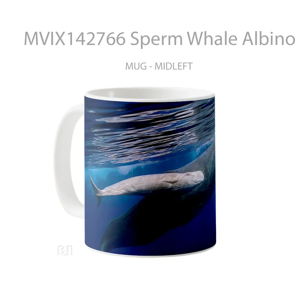 Mug Sperm Whale Albino Ocean Gelas Pemandangan Alam - All-side / Desain