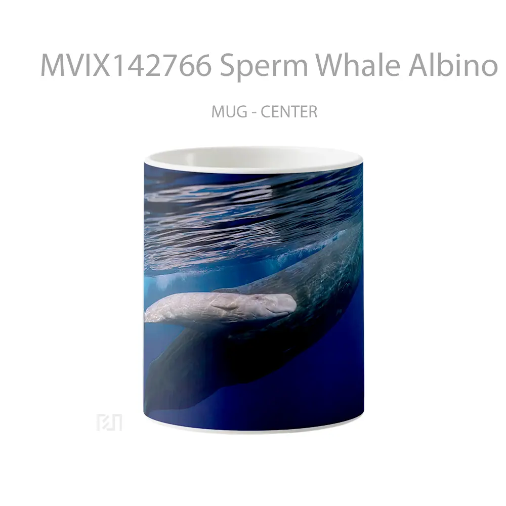 Mug Sperm Whale Albino Ocean Gelas Pemandangan Alam