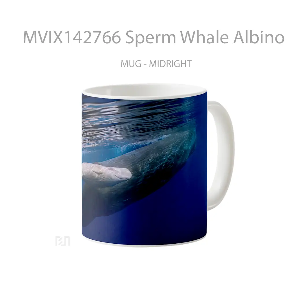 Mug Sperm Whale Albino Ocean Gelas Pemandangan Alam - All-side / Desain