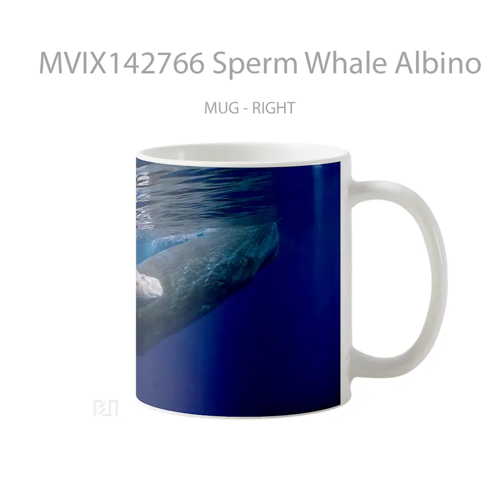 Mug Sperm Whale Albino Ocean Gelas Pemandangan Alam - All-side / Desain