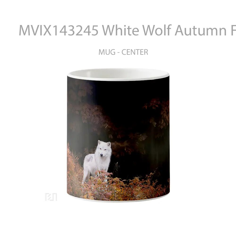 Mug White Wolf Autumn Forest Gelas Hewan Lucu