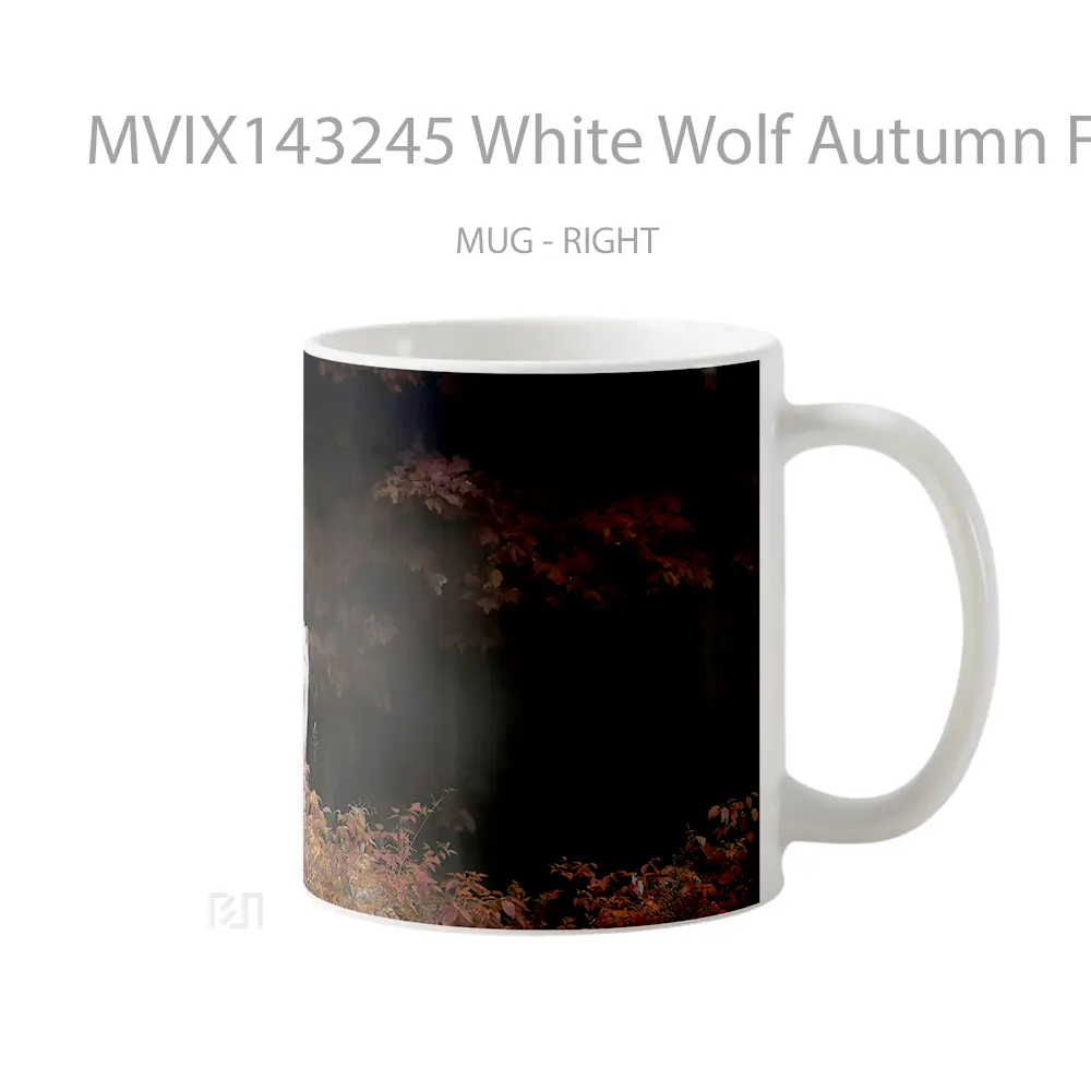 Mug White Wolf Autumn Forest Gelas Hewan Lucu - All-side / Desain