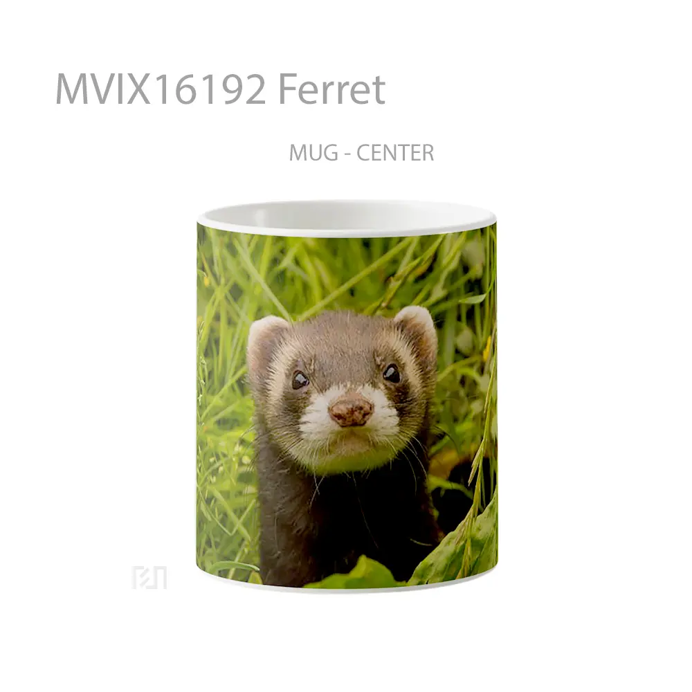 Mug Ferret Full Wrap Lanscape