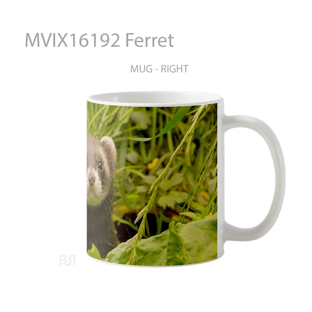 Mug Ferret Full Wrap Lanscape - All-side / Desain