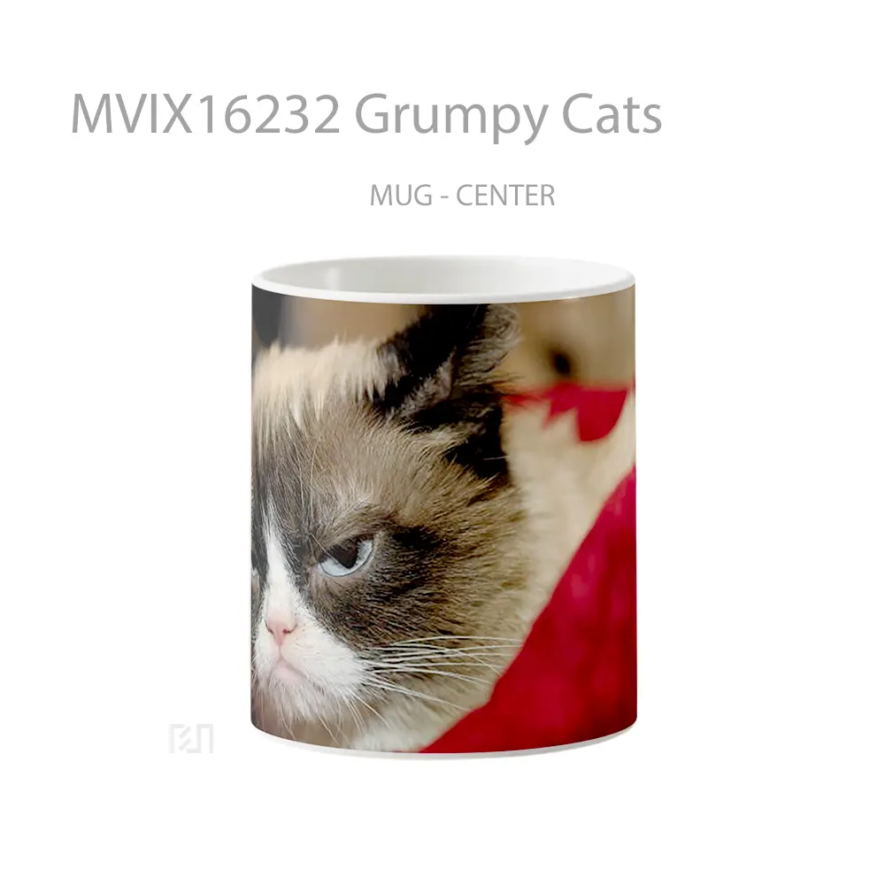 Mug Grumpy Cats Full Wrap Lanscape