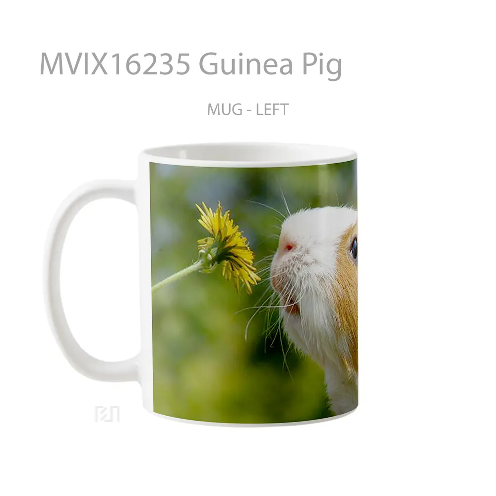 Mug Guinea Pig Full Wrap Lanscape - All-side / Desain