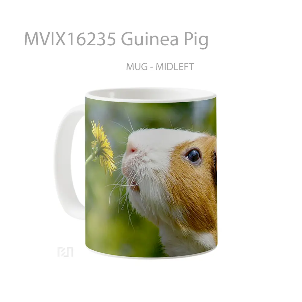 Mug Guinea Pig Full Wrap Lanscape - All-side / Desain