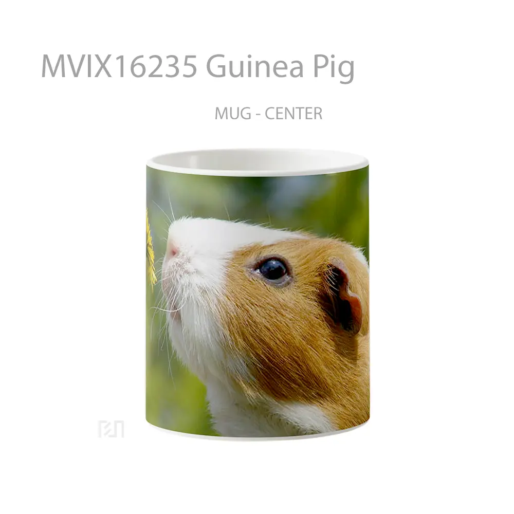 Mug Guinea Pig Full Wrap Lanscape