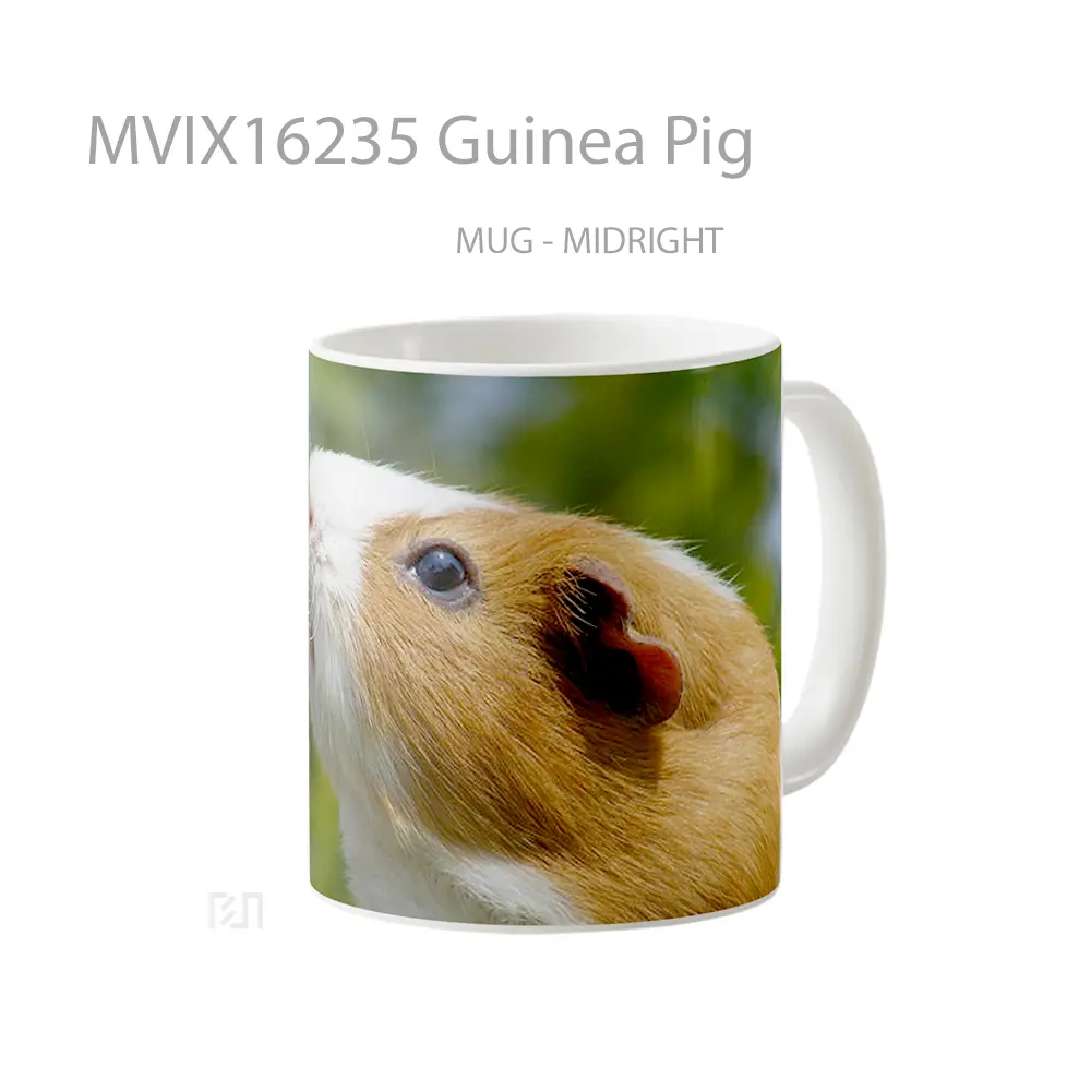 Mug Guinea Pig Full Wrap Lanscape - All-side / Desain