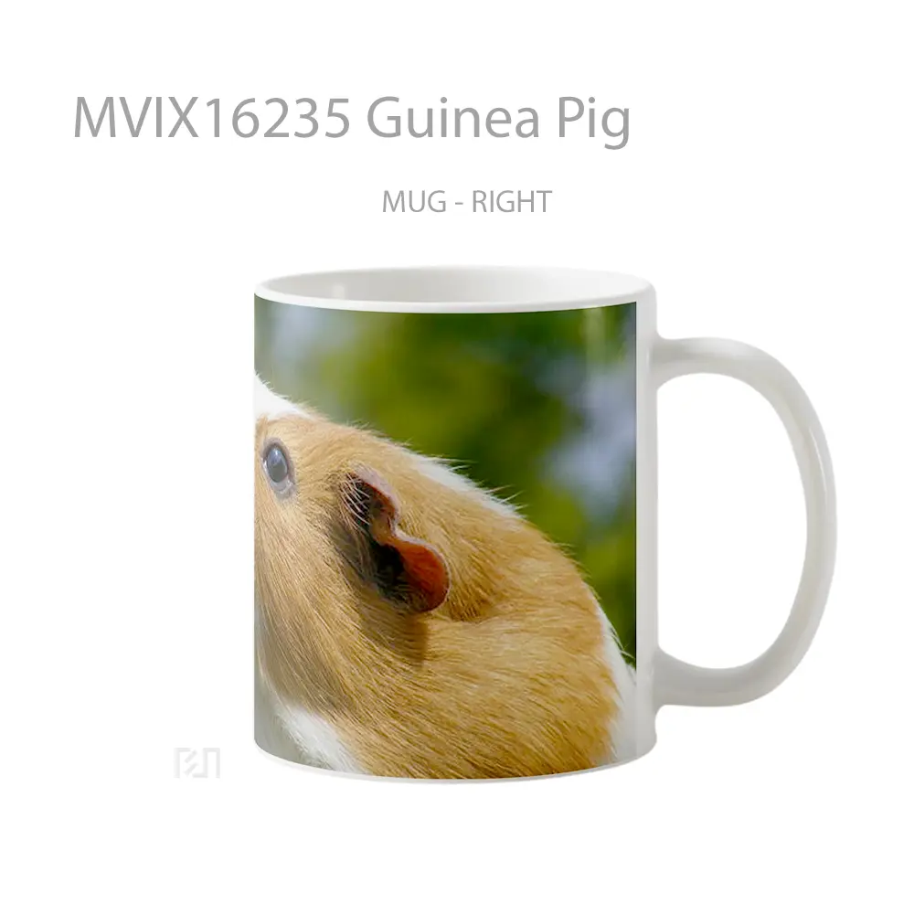 Mug Guinea Pig Full Wrap Lanscape - All-side / Desain
