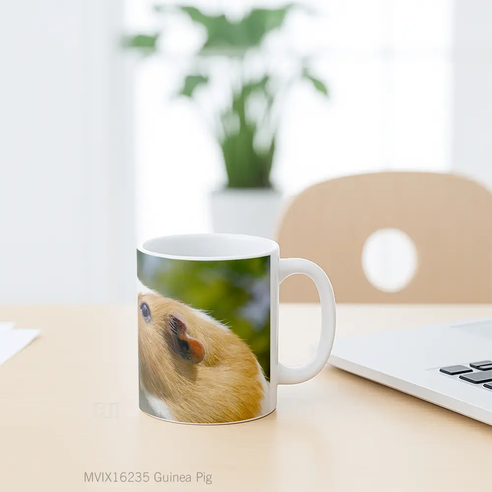 Mug Guinea Pig Full Wrap Lanscape - All-side / Desain