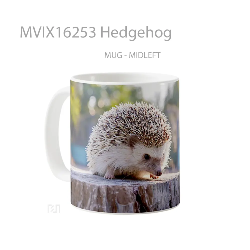 Mug Hedgehog Full Wrap Lanscape - All-side / Desain