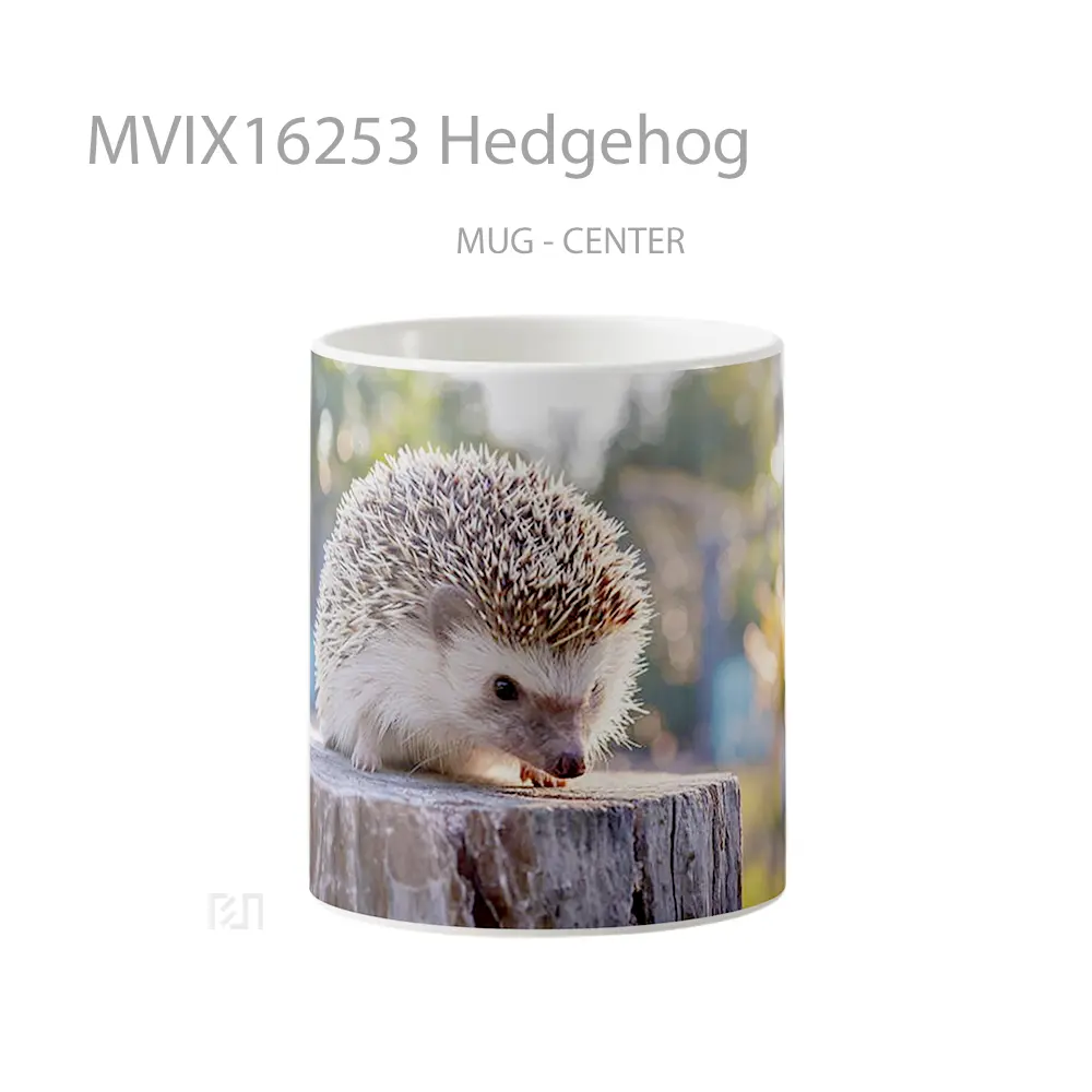 Mug Hedgehog Full Wrap Lanscape