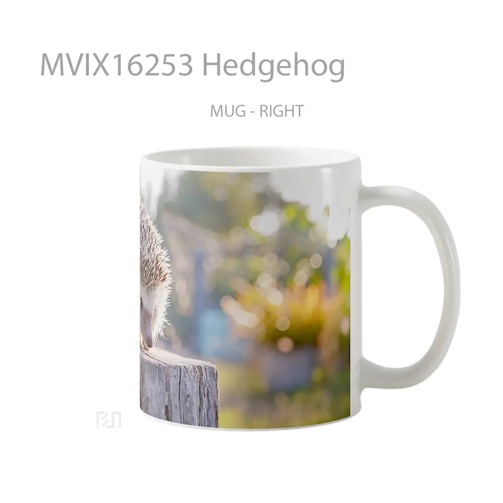 Mug Hedgehog Full Wrap Lanscape - All-side / Desain