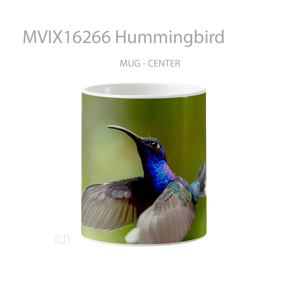 Mug Hummingbird Full Wrap Lanscape