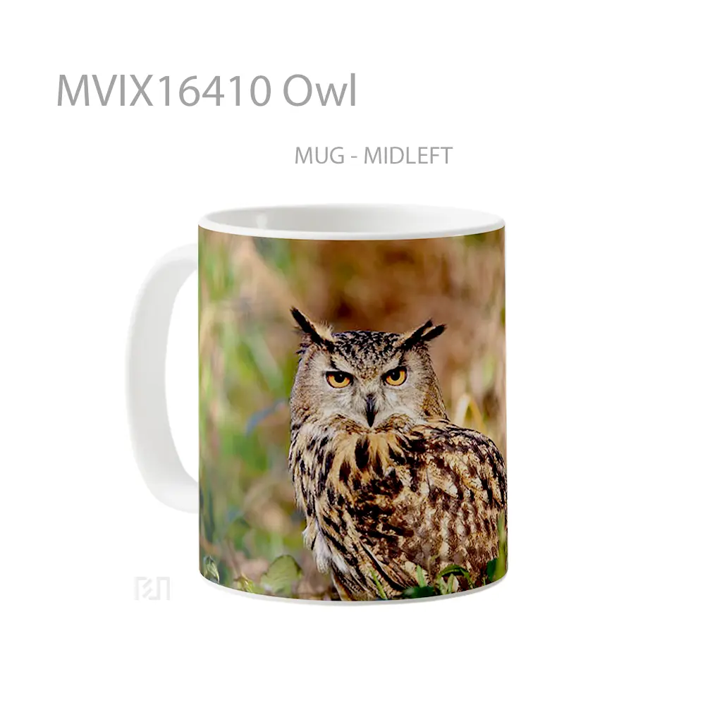 Mug Owl Full Wrap Lanscape - All-side / Desain