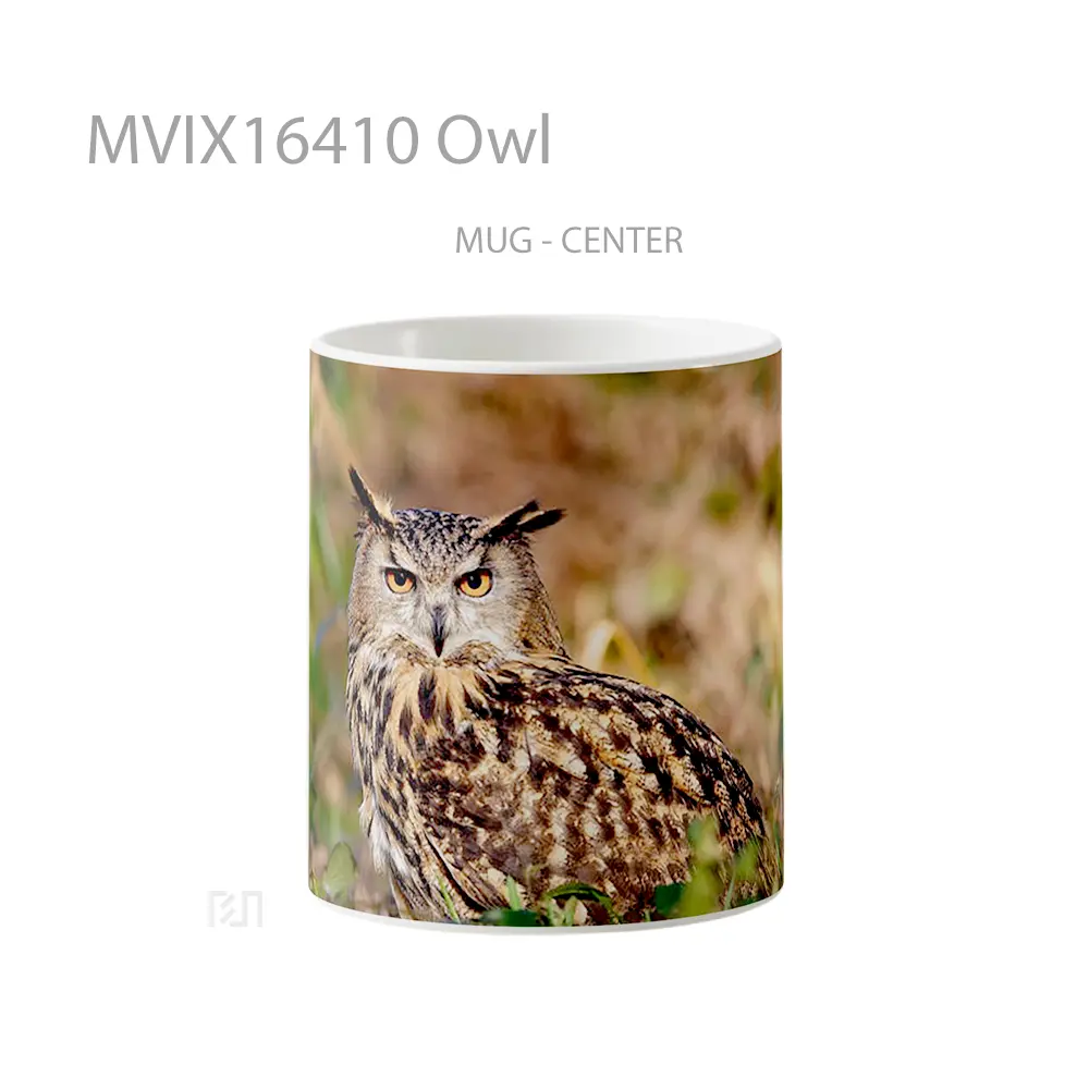 Mug Owl Full Wrap Lanscape