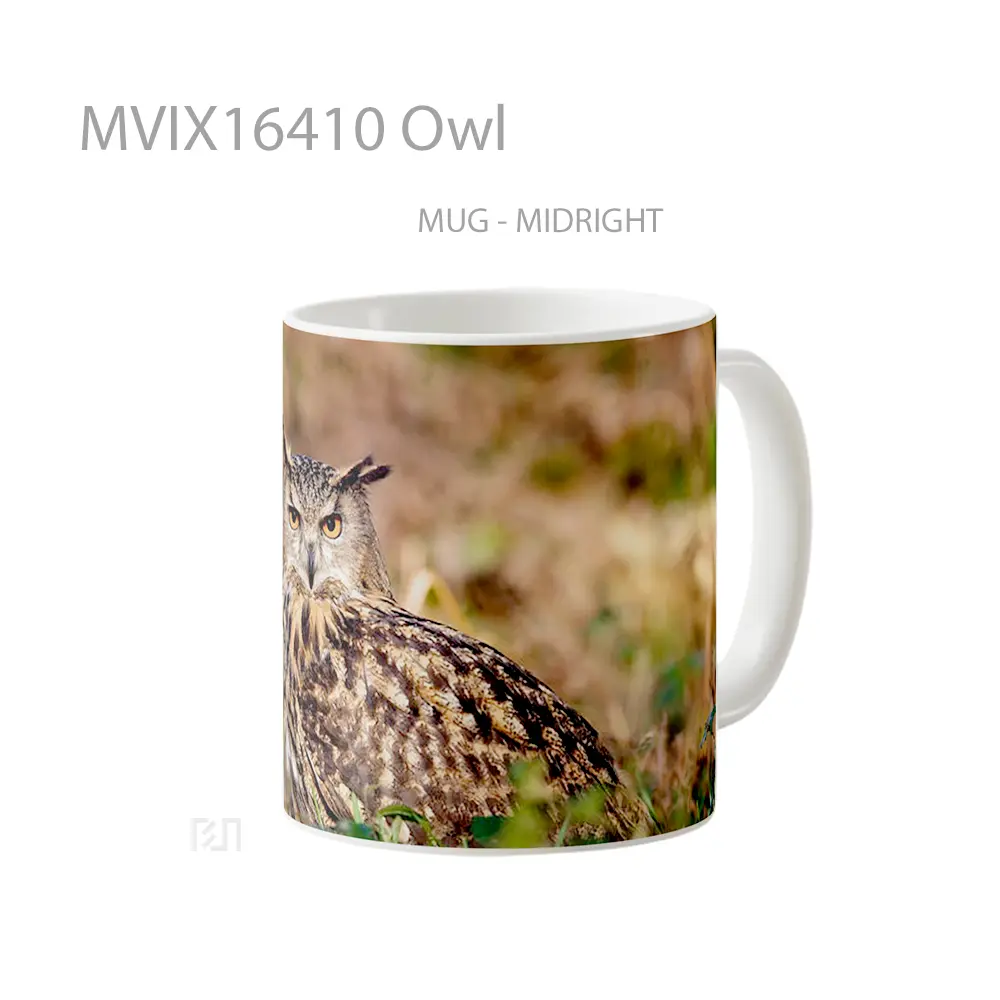 Mug Owl Full Wrap Lanscape - All-side / Desain