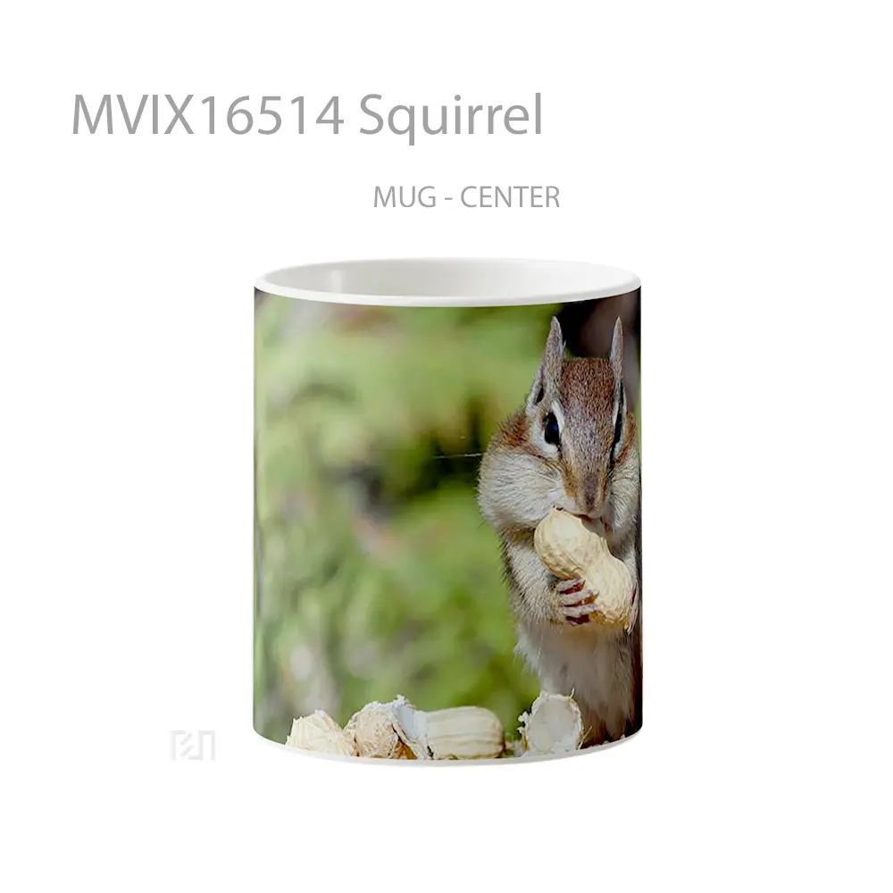 Mug Squirrel Full Wrap Lanscape