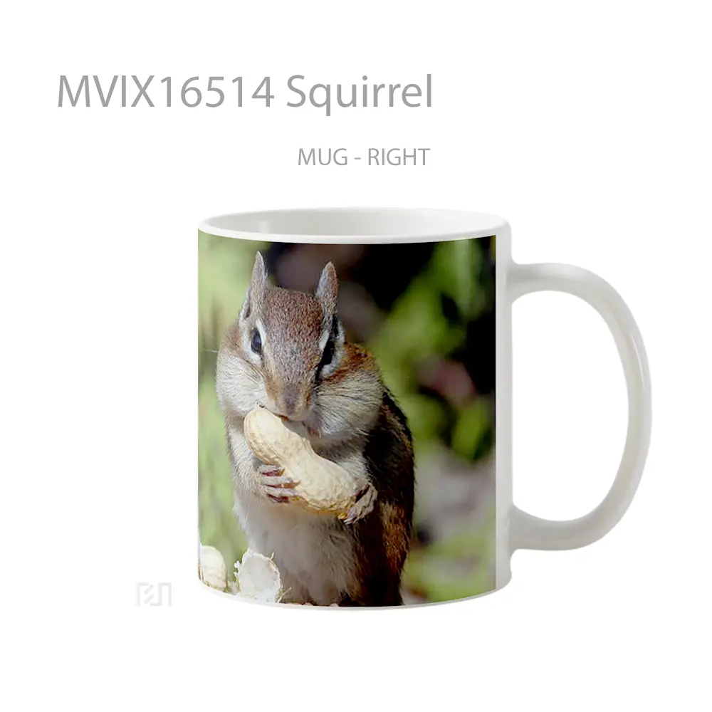 Mug Squirrel Full Wrap Lanscape - All-side / Desain