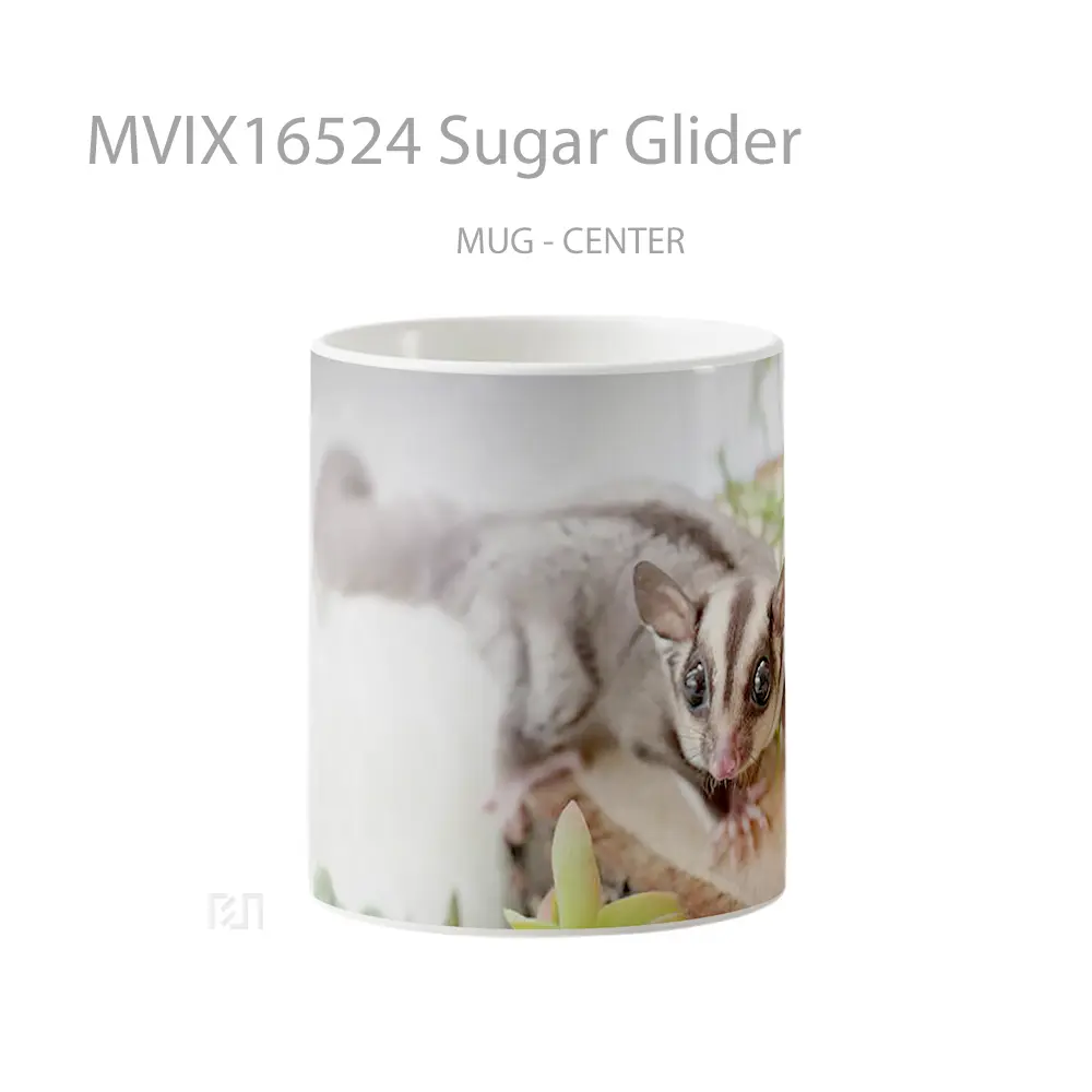 Mug Sugar Glider Full Wrap Lanscape