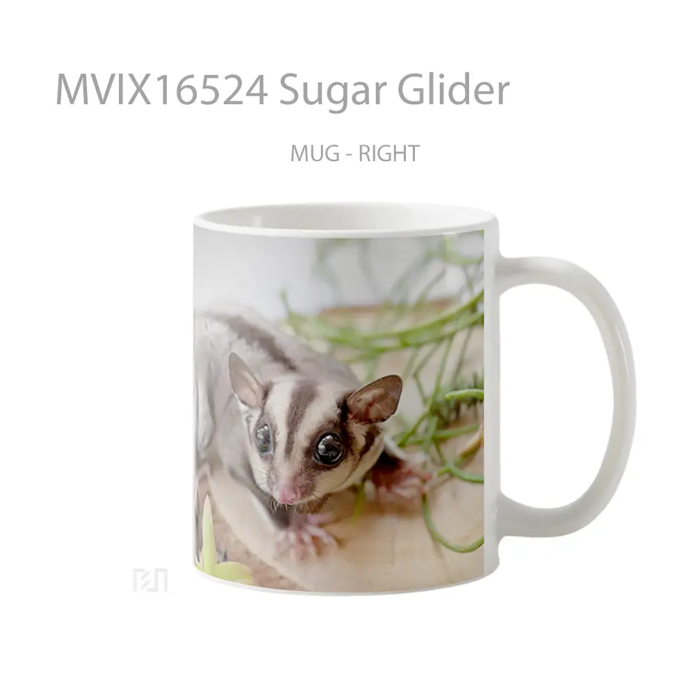Mug Sugar Glider Full Wrap Lanscape - All-side / Desain