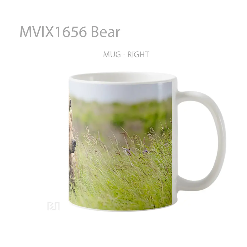 Mug Bear Full Wrap Lanscape - All-side / Desain